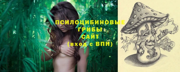 герыч Верхний Тагил