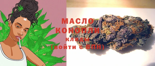 гашик Верея