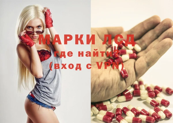 гашик Верея