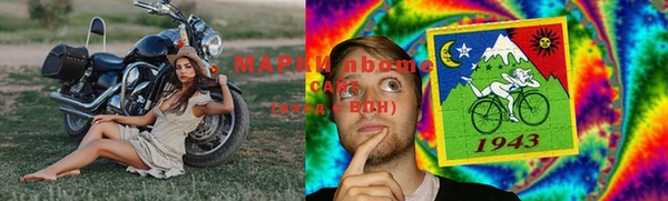 гашик Верея