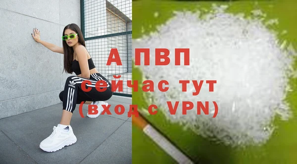гашик Верея